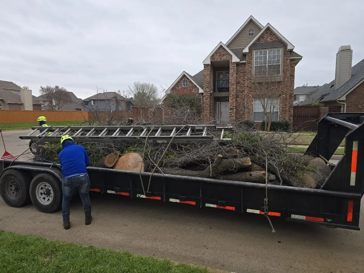 Expert Lot Clearing with proper safety equipment in Highland